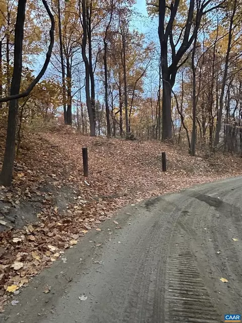 2493 Wyatt Mountain Rd #16, Dyke, VA 22935