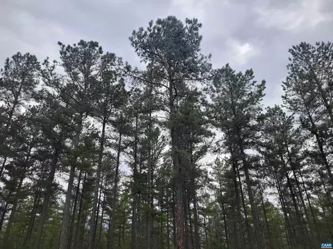 5 Piney Mountain Dr #5, Palmyra, VA 22963