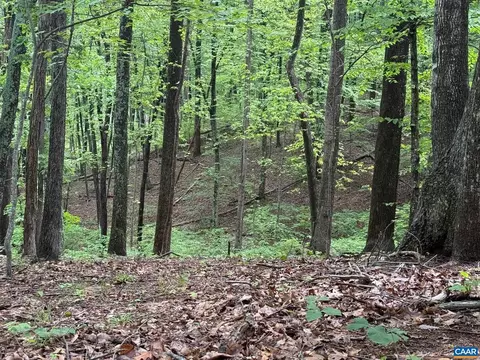 tbd Rabbit Valley Rd, North Garden, VA 22959
