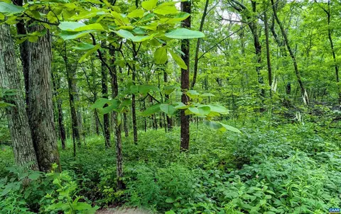 224 Cedar Dr Hickory Rdg #LOT 2, Roseland, VA 22958