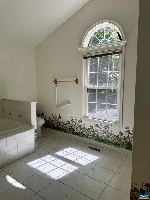 8 Birch Ct, Palmyra, VA 22963 photo 10