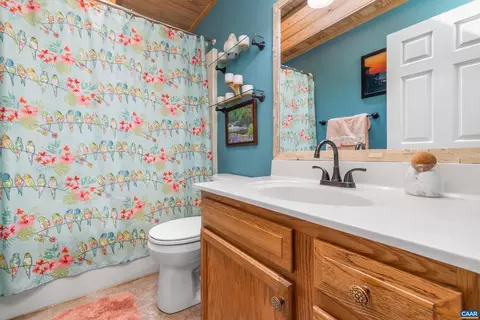 4 Xebec Rd, Palmyra, VA 22963 photo 27