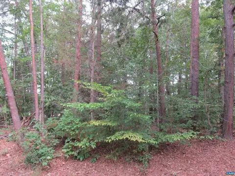 10 Englewood Dr #199, Palmyra, VA 22963