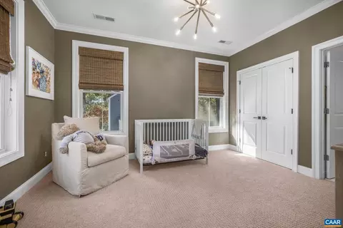 1421 Dairy Rd, Charlottesville, VA 22903 photo 39