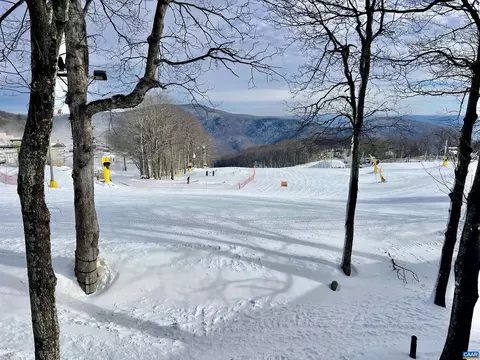 255 Timbers Condos, Wintergreen Resort, VA 22967