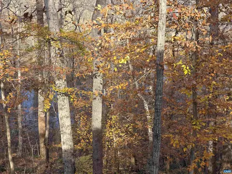 60 Chippewa Ln, Palmyra, VA 22963 photo 59