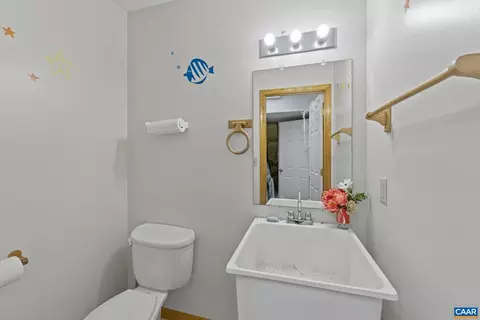 60 Chippewa Ln, Palmyra, VA 22963 photo 49