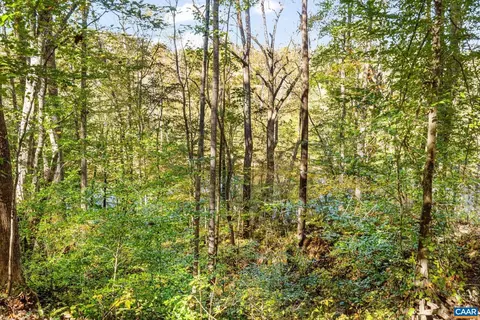 60 Chippewa Ln, Palmyra, VA 22963 photo 25