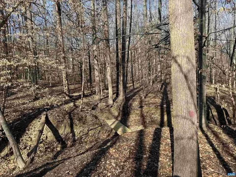 2019 Bybee Rd, Louisa, VA 23093 photo 40