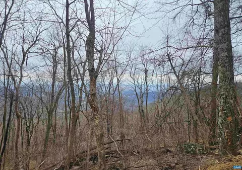 tbd Lot 17 18 Spring Branch Ln #17 & 18, Free Union, VA 22940