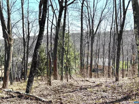 433 Laurel Springs Dr Pryors Camp 2 #LOT 1, Wintergreen Resort, VA 22967