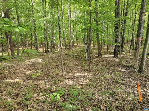 8 65 Ac Pond Rd, Buckingham, VA 23921 photo 19