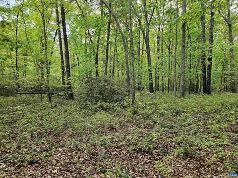 8 65 Ac Pond Rd, Buckingham, VA 23921 photo 15