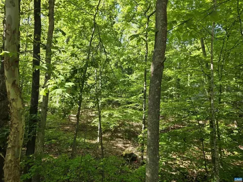 717 Jefferson Dr #SECTION 2  369, Palmyra, VA 22963