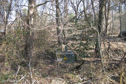 911 Forest Rd, Severn, MD 21144 photo 1