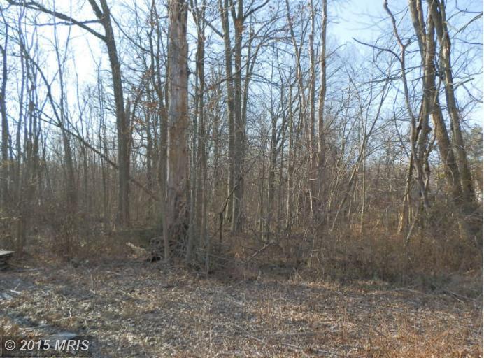 8515 Winands Rd, Randallstown, MD 21133 photo 1