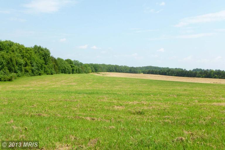 16496 Parallel Ln, Culpeper, VA 22701 photo 1