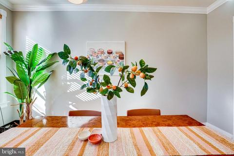 153 V St NE, Washington, DC 20002 photo 13