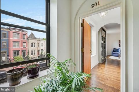 121 13th St NE #201, Washington, DC 20002 photo 2