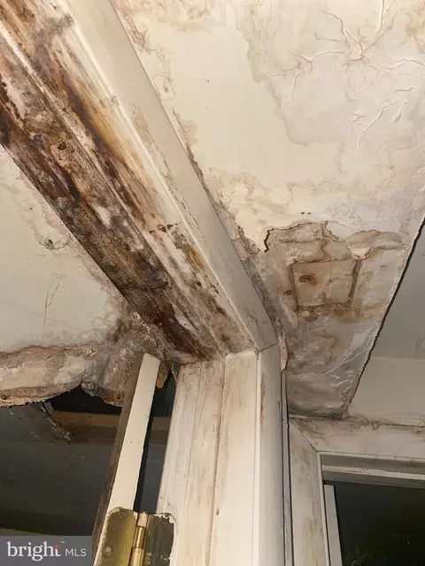 940 Eastern Ave NE #1, Washington, DC 20019 photo 3