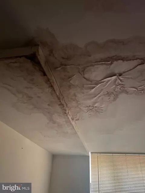 940 Eastern Ave NE #1, Washington, DC 20019 photo 32