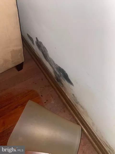 940 Eastern Ave NE #1, Washington, DC 20019 photo 42