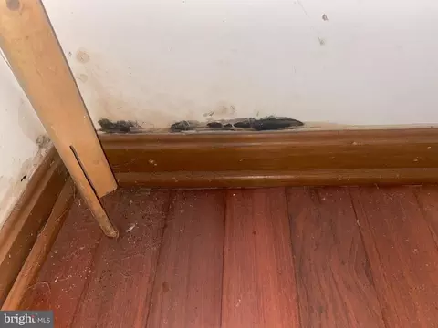 940 Eastern Ave NE #1, Washington, DC 20019 photo 46