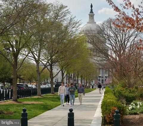 310 E Capitol St NE #E, Washington, DC 20003 photo 20