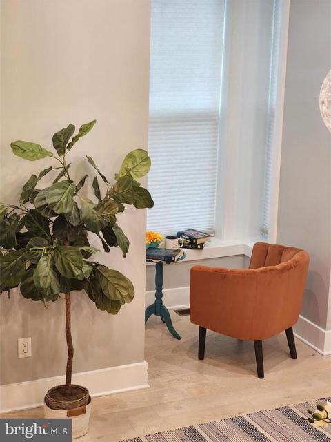 1001 C SE #2, Washington, DC 20003 photo 31