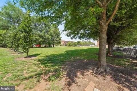 401 13th St NE #PH9, Washington, DC 20002 photo 40