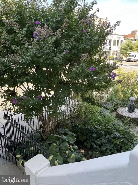 1800 S Street NW, Washington, DC 20009 photo 63
