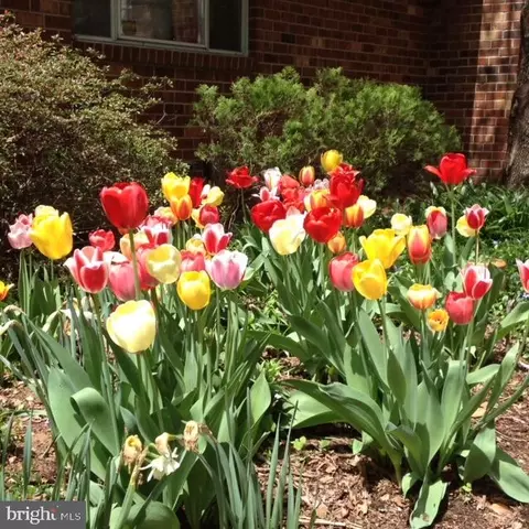 3601 Appleton St NW, Washington, DC 20008 photo 43