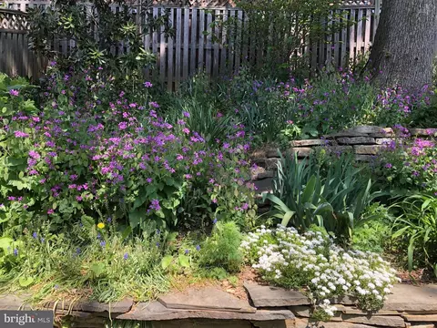 1611 45th St NW, Washington, DC 20007 photo 53