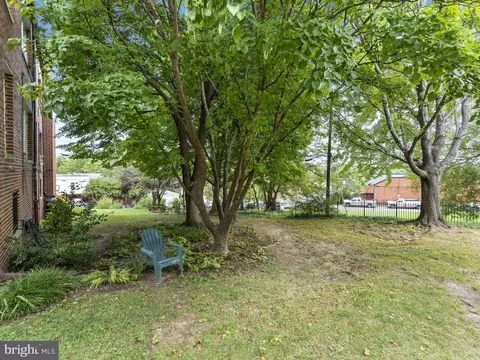 3407 29th St NW #3, Washington, DC 20008 photo 18