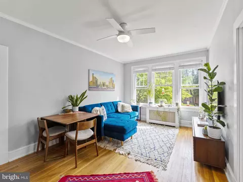 3407 29th St NW #3, Washington, DC 20008 photo 5