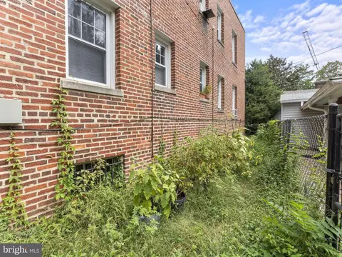 3407 29th St NW #3, Washington, DC 20008 photo 20