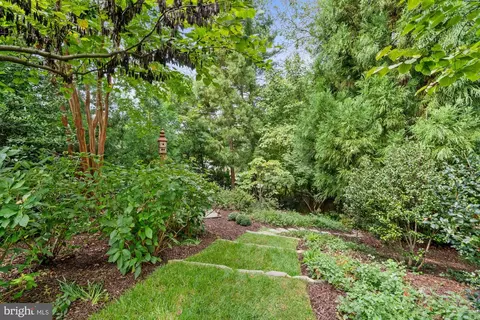 2236 49th St NW, Washington, DC 20007 photo 44