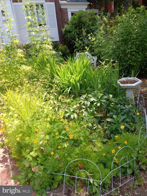 1507 Foxhall Rd NW, Washington, DC 20007 photo 3
