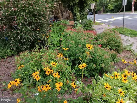 1507 Foxhall Rd NW, Washington, DC 20007 photo 5