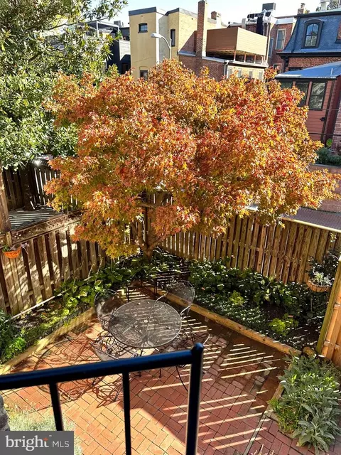 1436 Corcoran St NW, Washington, DC 20009 photo 37