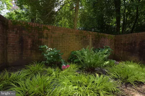 3229 Sutton Pl NW #D, Washington, DC 20016 photo 25