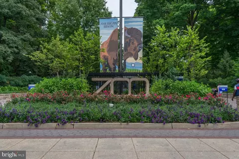 Exterior - 2901 34th St NW, Washington, DC 20008 photo 15 of 18