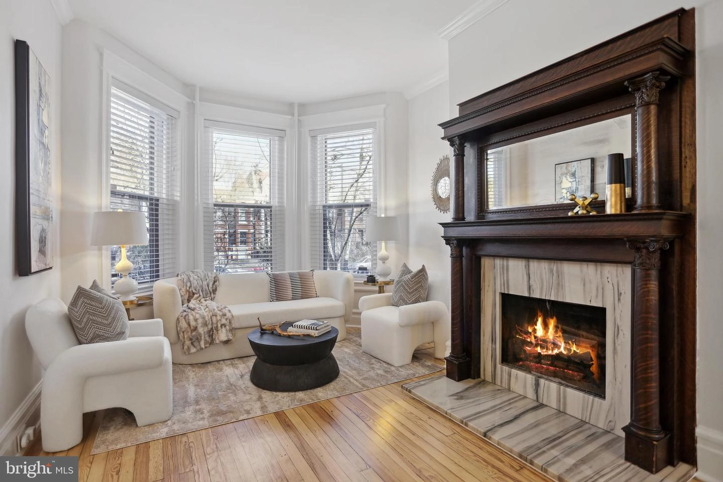 Living - 1309 E Capitol St SE, Washington, DC 20003 photo 3 of 4