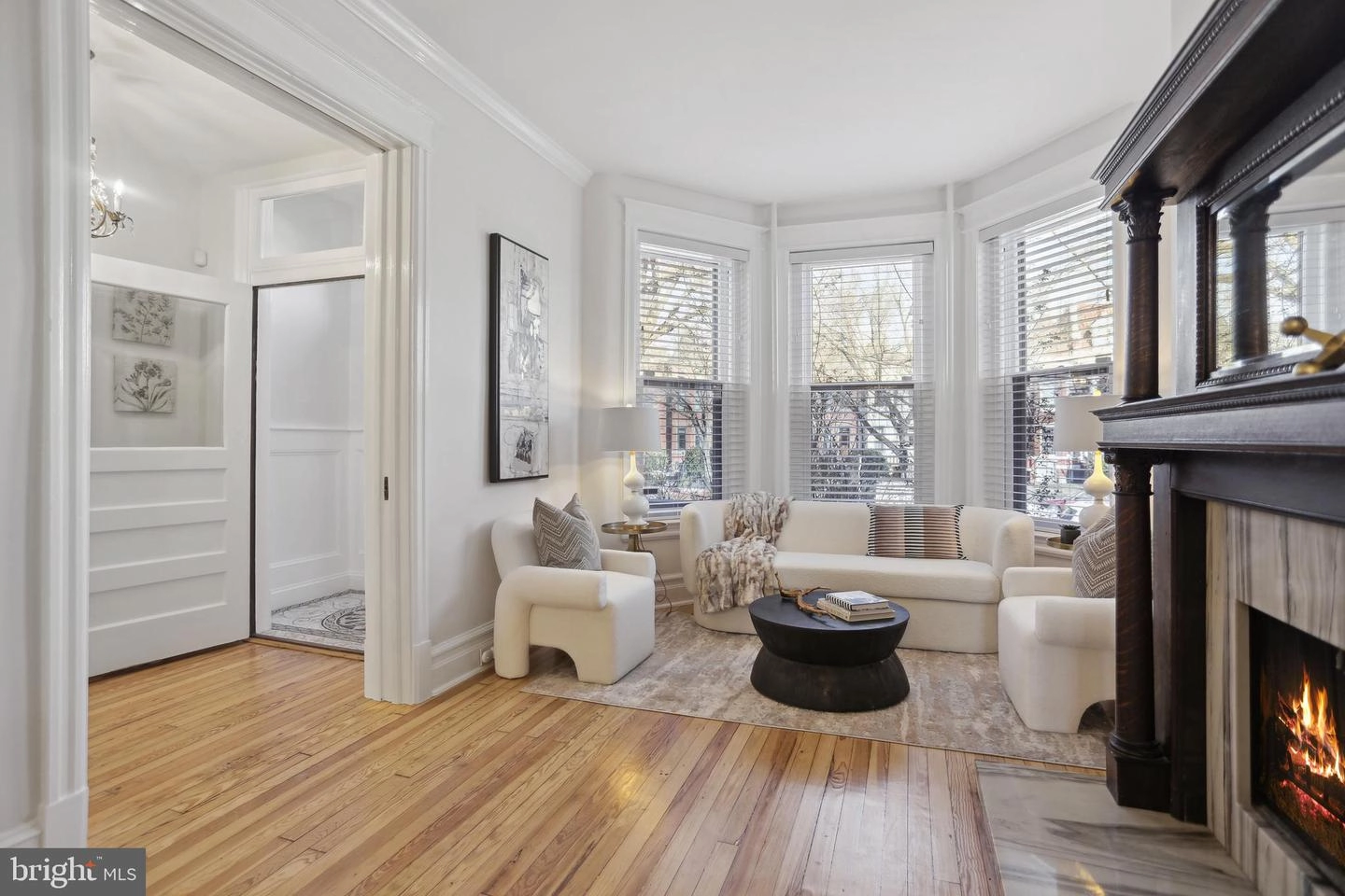 Living - 1309 E Capitol St SE, Washington, DC 20003 photo 2 of 4