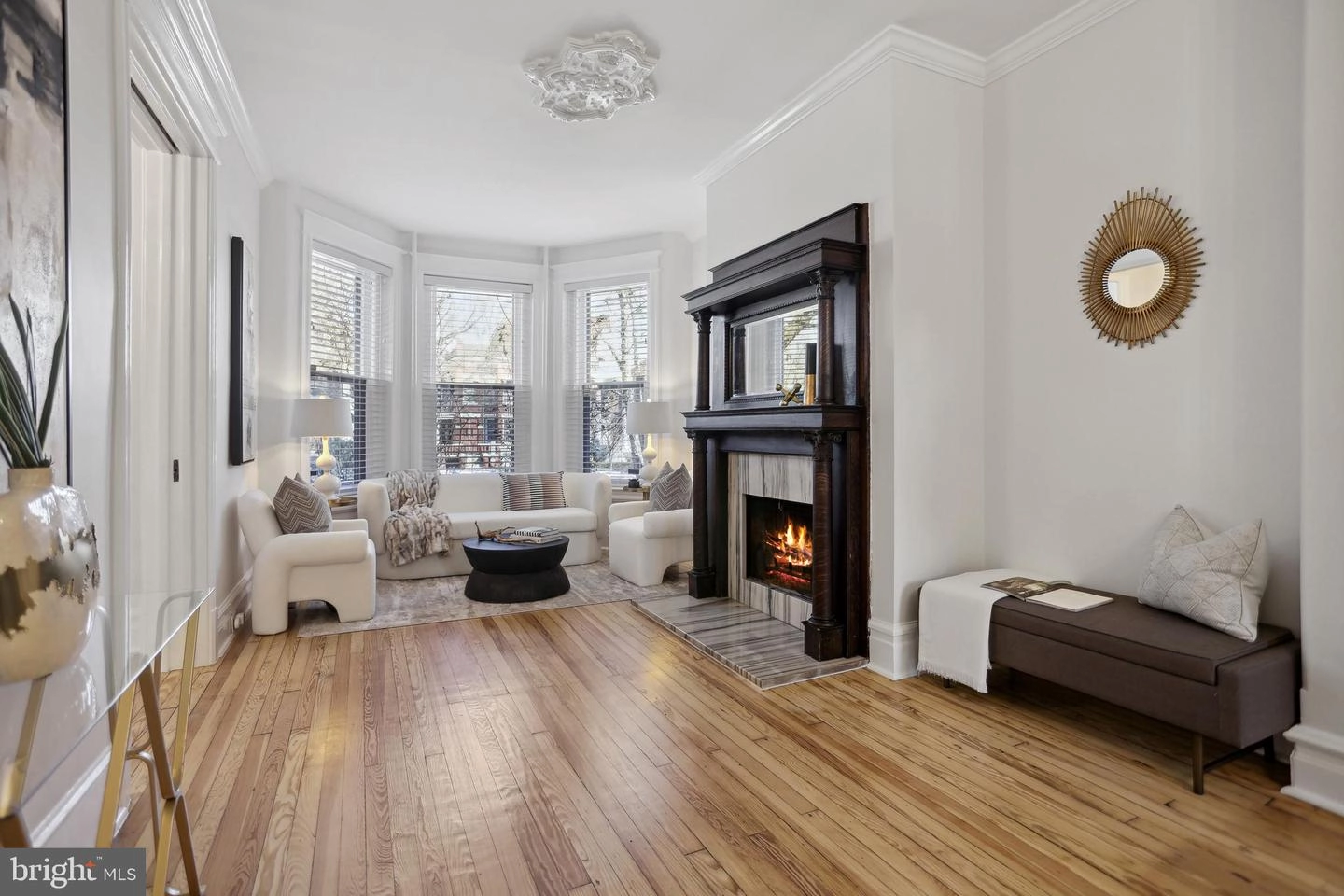 Living - 1309 E Capitol St SE, Washington, DC 20003 photo 1 of 4