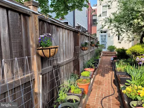Exterior - 523 14th St SE, Washington, DC 20003 photo 23 of 31