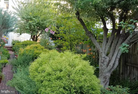 Exterior - 523 14th St SE, Washington, DC 20003 photo 18 of 31