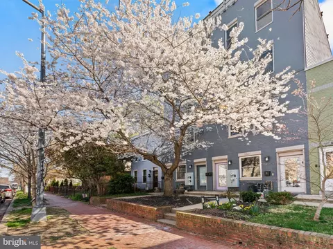 Exterior - 1621 D St SE #2, Washington, DC 20003 photo 1 of 14