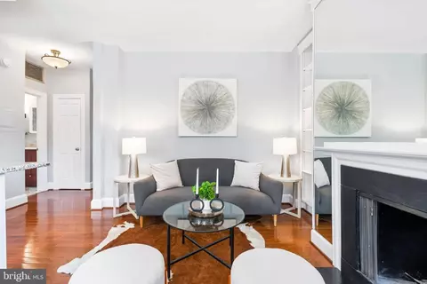 Living - 18 9th St NE #110, Washington, DC 20002 photo 3 of 3