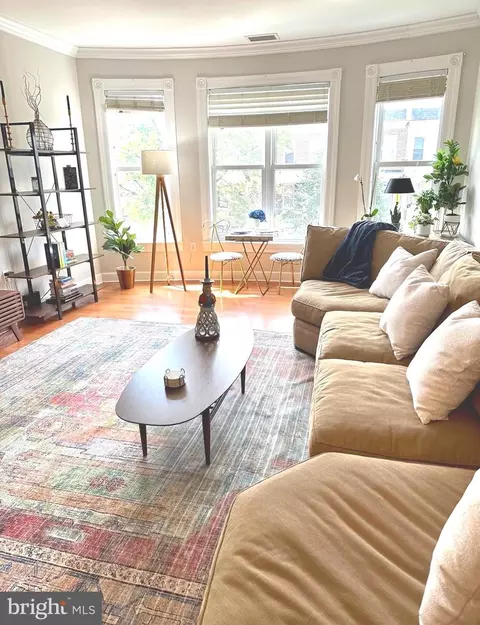 Living - 401 13th St NE #302, Washington, DC 20002 photo 3 of 7